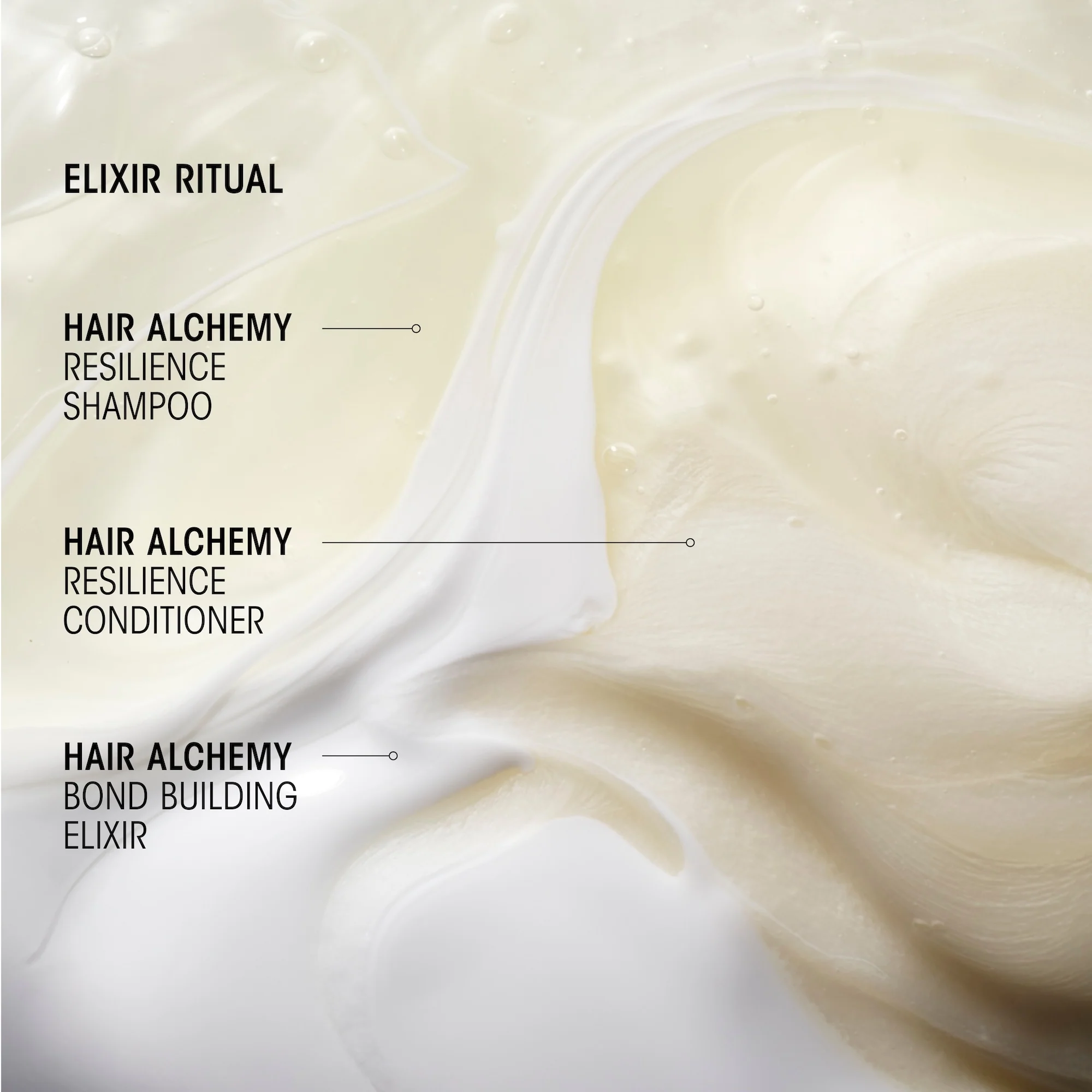 Hair Alchemy Resilience Shampoo - Image 2