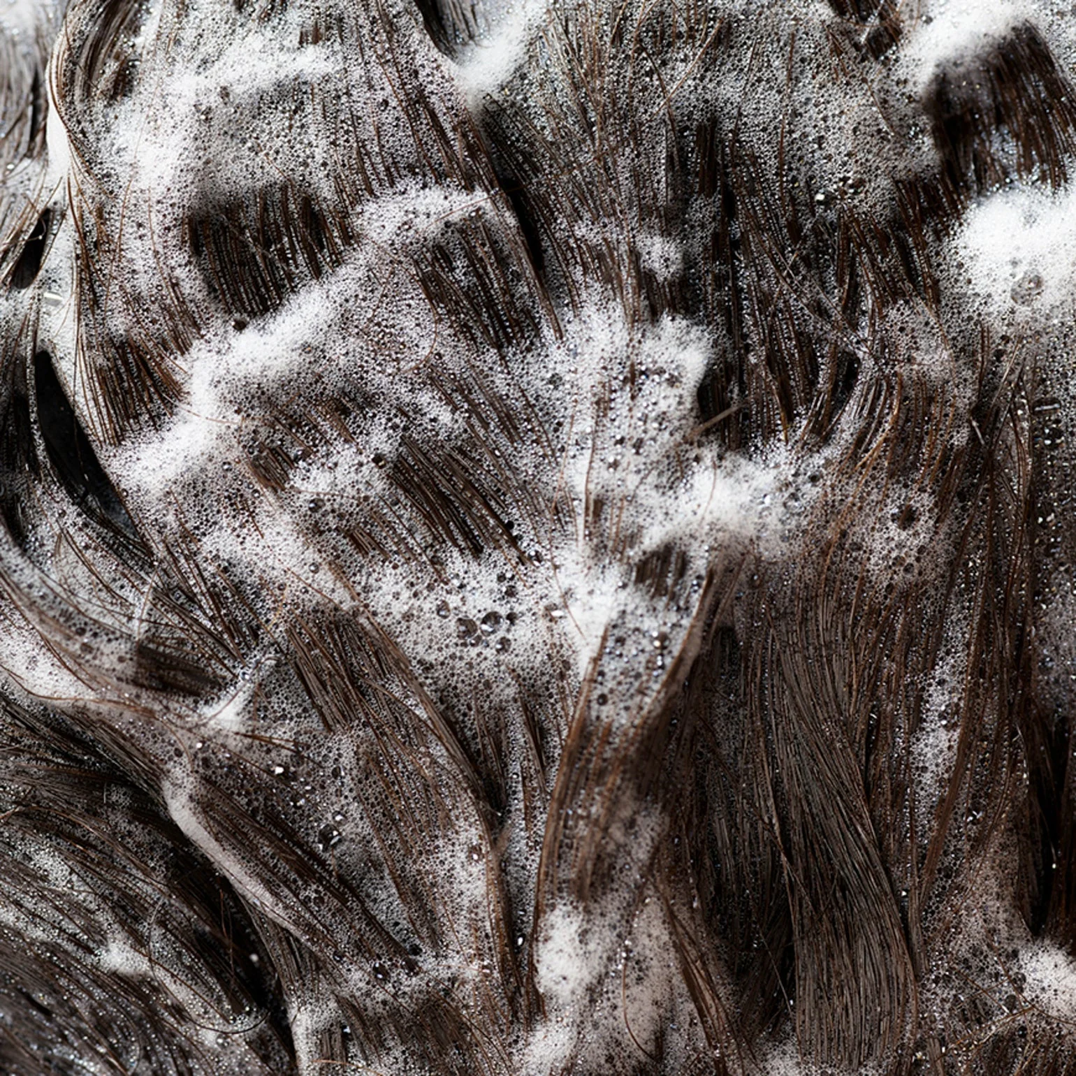 Signature Shampoo - Image 12